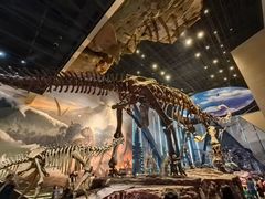 -国家自然博物馆