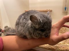 -龙猫仔乐园(惠福东路店)