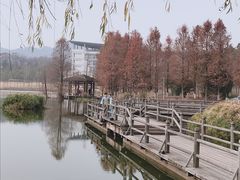 -浙江农林大学(东湖校区)