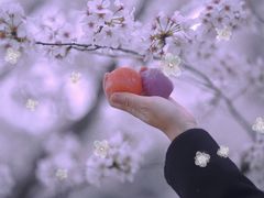 -盒马鲜生(悠方店)