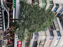 -李兰英湖南面馆(护国路店)