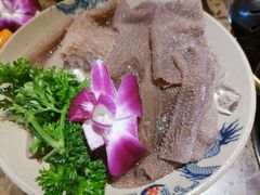 极品鲜毛肚-小龙坎火锅(总店)