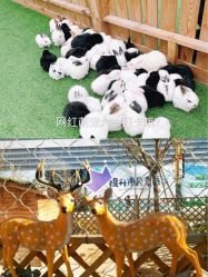 点击看大图 -萌宠亲子动物乐园(槐房万达店)