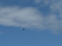 -新疆那拉提国家旅游度假区