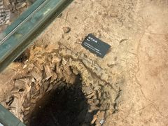 -南越王博物院(王宫展区)