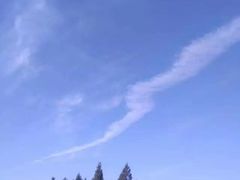 -三峡梯城