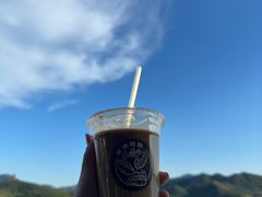-望湖烤鱼