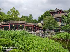 -顺峰山公园