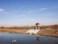 景点-东郊湿地公园