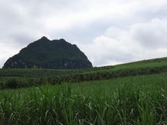 -明仕田园