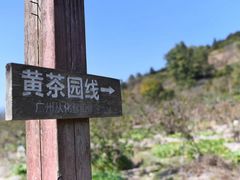 -广州市流溪河国家森林公园