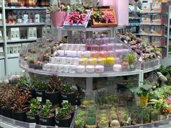 -KKV(深圳kk one 店)