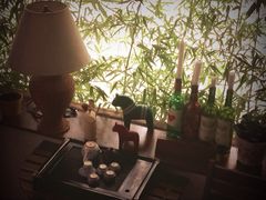 iphone_upload_pic-深圳大旅小舍精品艺术民宿