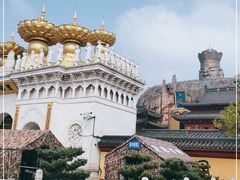 -上海东林寺(金山区)