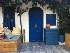 -Sirena海妖日咖夜酒