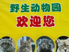 -青藏高原野生动物园