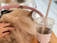 -灯塔咖啡馆BOOK·Coffee Shop