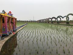 -迪茵湖田家舍生态农场