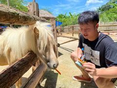 -泉州海丝野生动物世界