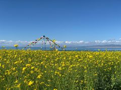 -青海湖国家重点风景名胜区
