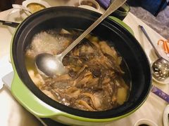 -美姿水荟美食水疗