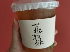 鸭屎香柠檬茶-一杯潮茶·专注潮汕茶饮(朝阳庄店)