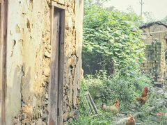 -广东大峡谷