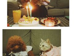 -BON CAKE(华贸购物中心店)