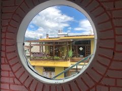 -喵屿·大理花园猫咖