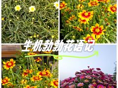 -马王堆汉墓遗址