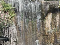 -西双版纳原始森林公园