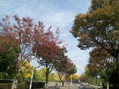 -江南大学(蠡湖校区)