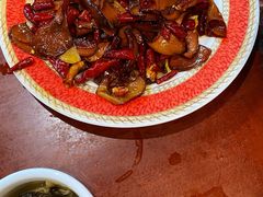 -菌之家·专业纯野生菌火锅·特色炒菌