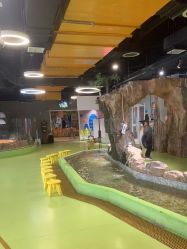 -七巧国萌宠乐园(龙湖天街店)