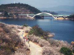 -广州市流溪河国家森林公园