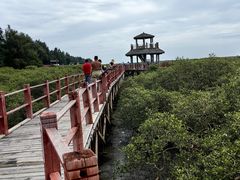 -北海金海湾红树林生态旅游区