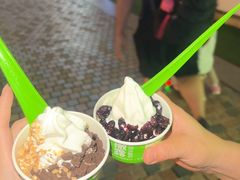 -Salud撒露欧洲冻酸奶(蓝色港湾店)