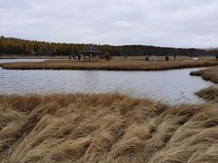 -塞罕坝国家级自然保护区