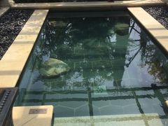 -苏州湾王焰温泉度假酒店