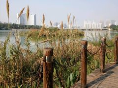 -南宁南湖公园