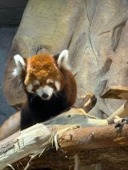 -Zoolung Zoolung动物主题公园(海信广场店)