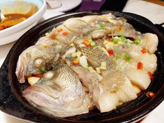 -点都德·毕德寮