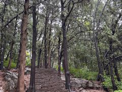 -云龙山