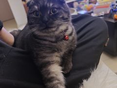 -酸婆娘江湖川菜(紫竹路店)