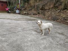 -众神白水涧景区
