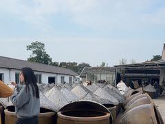 -苏州市吴中区光福窑上花果蜜饯厂