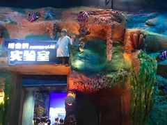 -青岛嘉年华主题乐园