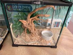 -南宫五洲植物乐园