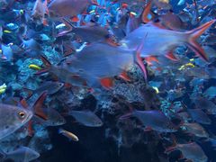 -成都浩海立方海洋公园