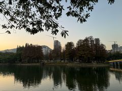 -四海公园(南山区)